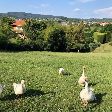 Apartmán El Rincon De Matilde Con Jardin By Kabia Gestion Barrika